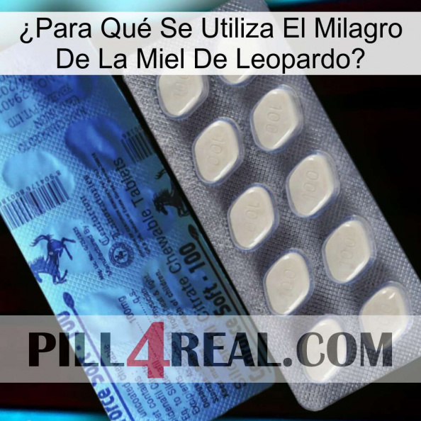 ¿Para Qué Se Utiliza El Milagro De La Miel De Leopardo 34.jpg